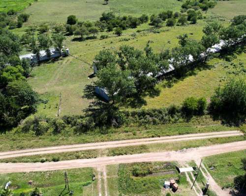 Granja Avícola. Nogoyá Entre Rios