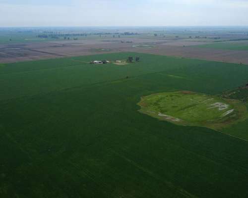🌾 Campo en Venta – 32 Hectáreas Videla, San Justo, Santa