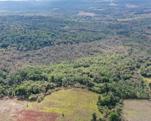 Se Vende Chacra de 82 Ha San Javier Misiones