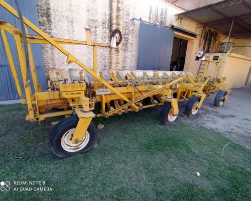 Ascanelli RS 2000. de 13 a 52 CM. sin Fertilización .