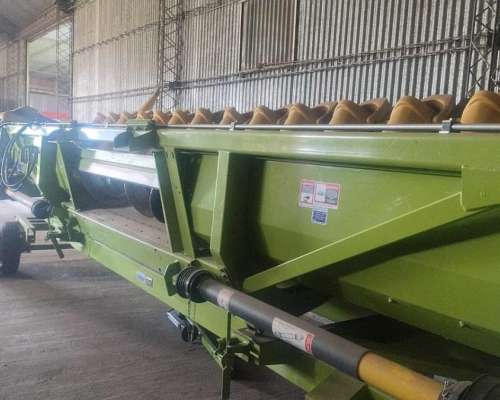 A 42 Maicero Alliochis 16 a 42