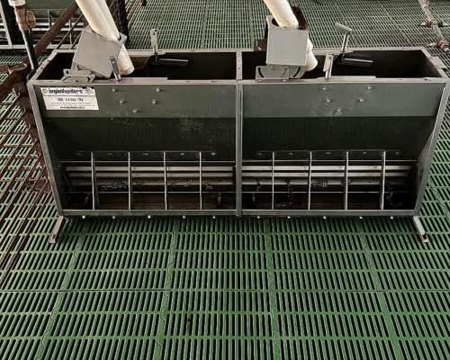 Equipamiento de Cerdos para Recria o Destete