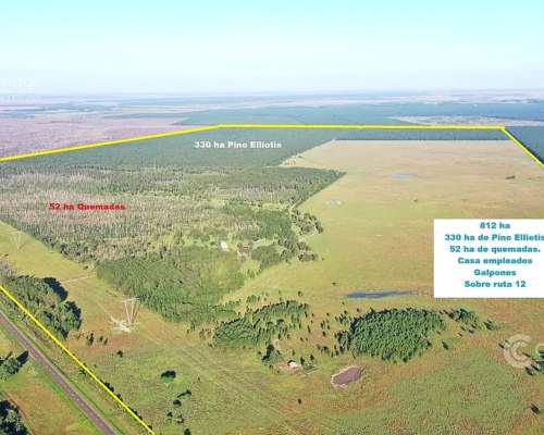 Se Vende Campo Sobre Ruta 12. Ituzaingó-posadas. Forestación