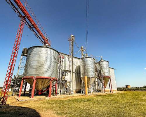 Alquiler Molino Harinero y Planta de Silos - Barrancas - SF