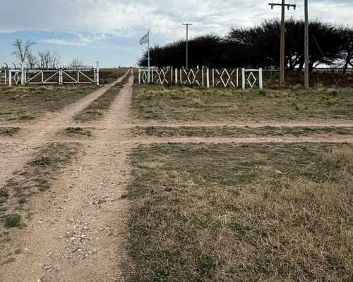 500ha Agrícola-ganaderas Sobre Ruta Nacional 35