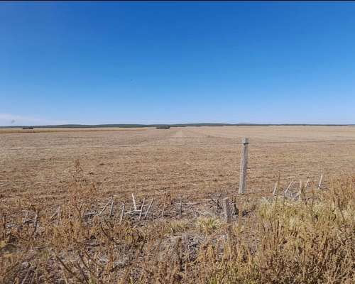 Inmobiliaria Pousa Vende 4500 Has Mixtas (zona Río Cuarto)