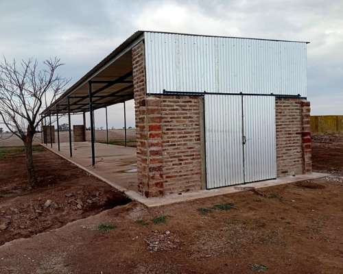 Galpones para Granja de Ponedoras