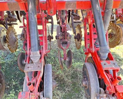 Semb Fino - Crucianelli Pionera 21 a 26