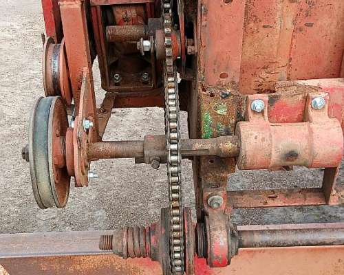 Girasolero Mainero 12 A52cm