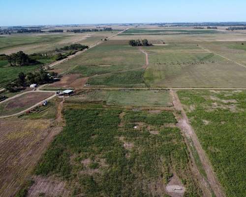 Fondo de Comercio: Tambo en Producción (monte, BS. As.)