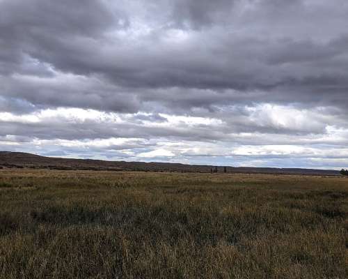 👉 “venta de Campo 2500 Has – Ñorquinco, Río Negro – con CAS