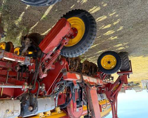 Super Walter de 23 a 35 y 12 a 70 Toda Neumatica