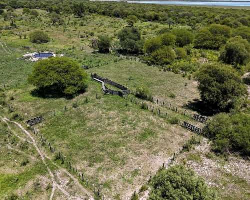 1491 Has Ganaderas de Cría - la Gallareta - Vera - Santa FE