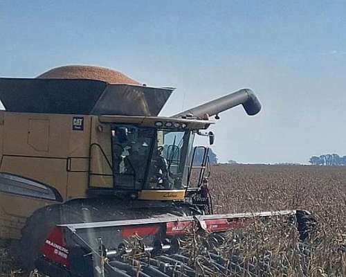 Cosechadora Challenger 680 B 2013 Excelente Estado