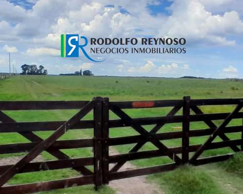 100 Ha en Concepción del Uruguay