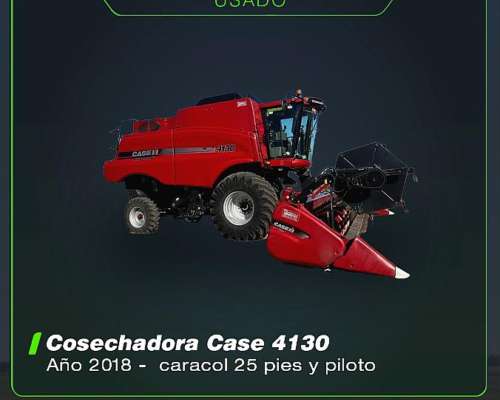 Case 4130 año 2018