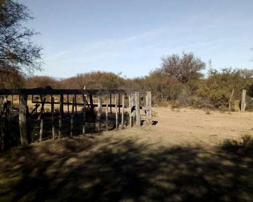 Vendo Campo Ganadero en San Luis