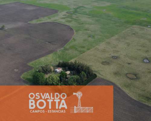 Campo Mixto en Venta 103 Has en Miramar, Buenos Aires