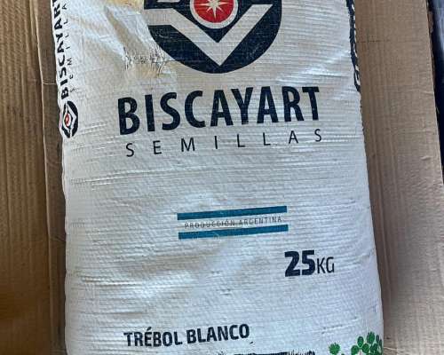 Semillas de Trebol Blanco Biscayart