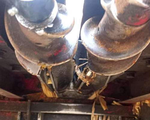 Maicero Mainero 2000, año 2008 de 11 a 52 cm