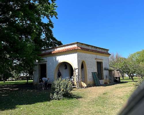 Campo Mixto en Venta
