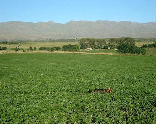 Campo en San Luis. Ubicación Estratégica e Infraestructura