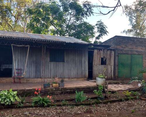 San José – 137 ha - Misiones