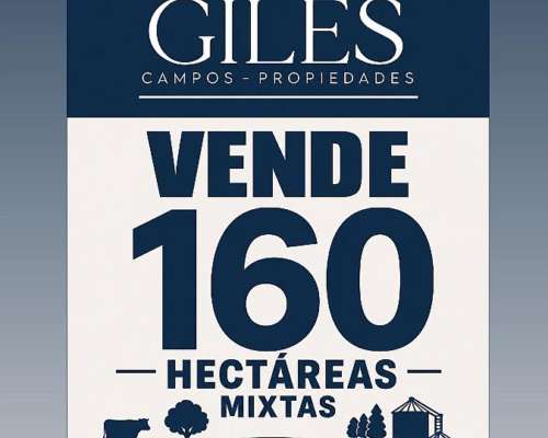 160 Hectáreas Mixtas Ramallo