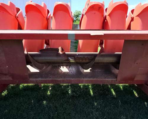 Maicero de Grande de 13 S. año 2003.