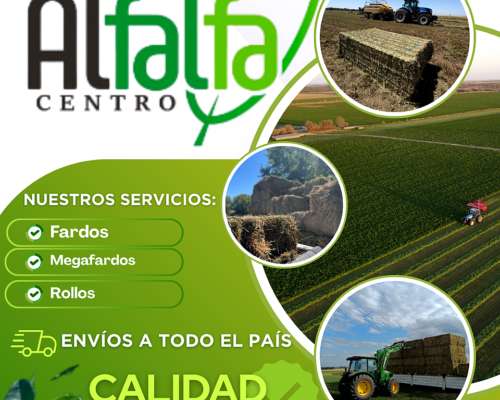 Alfalfa Centro (rollos, Fardos y Megafardos)