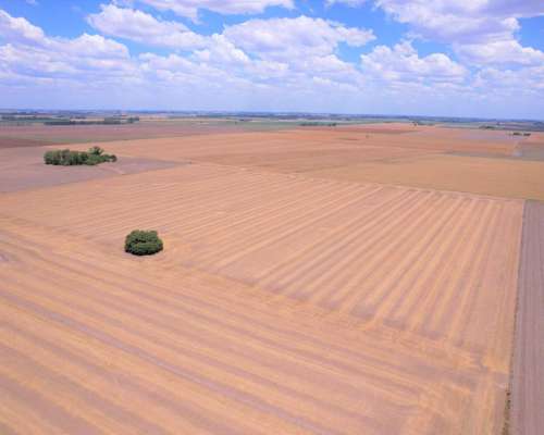 23 Ha Acevedo. Agricolas