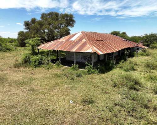 Pcia. de Corrientes - Sauce 1076 Ha