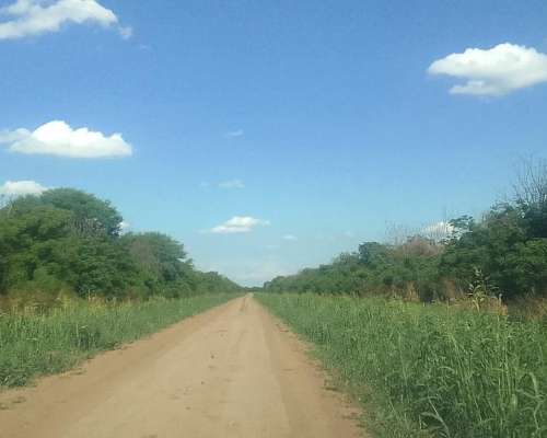 En Alquiler 165 Has Ganaderas. Buen Precio