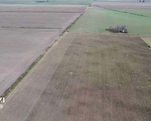 19 Ha - el Trebol - Santa FE