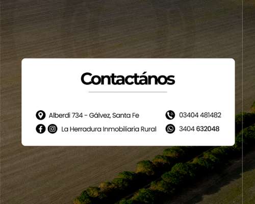 Lehmann 33 Has Agrícolas. Campo en Venta