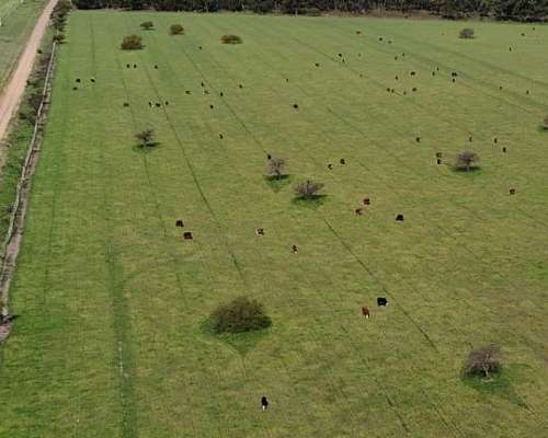 Vendo Campo 390 Hectáreas Entre Chajarí y Federacion