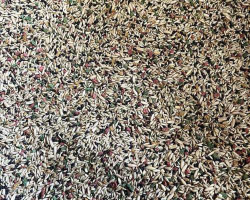 Vendemos Mezcla para Canario Propias en Todas las Provincias