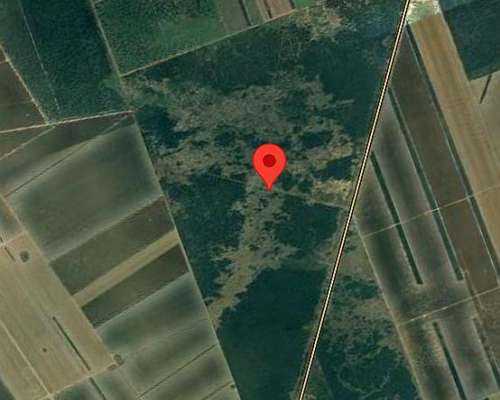 Se Vende Campo, Excelente Zona Agricultura