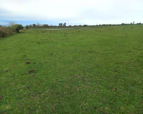 48 Hectareas Campo Agricola