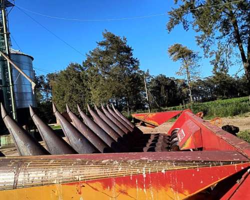 Maicero Mainero 2000 11 a 52 cm