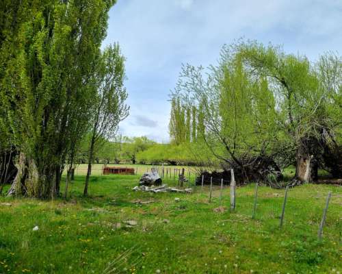 Campo Mixto en Esquel, Precordillera