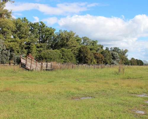 Ba3627 Venta Ganadero 491ha. Carmen de Areco, Buenos Aires