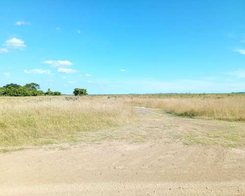 Pila, Buenos Aires - 115 Ha