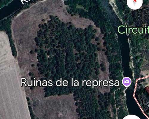 22 Ha Arboladas en Andino