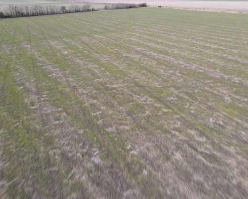 Campo Agrícola en Rocamora de 59 Hectáreas.