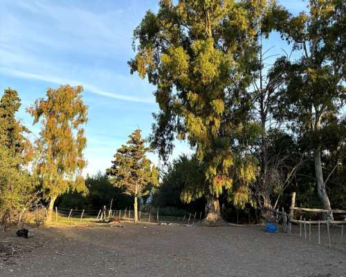 Chacra Trelew Chubut 7.5 Hectáreas