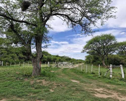 Villa Valeria, General Roca, Córdoba - 843 Ha