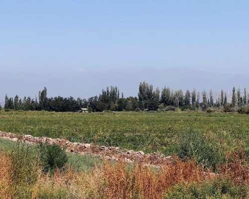 Finca de 32 con D° Riego y Pozos