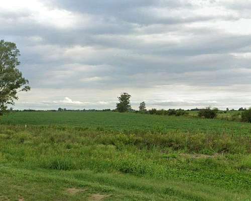 Villa Elisa Entre Rios Campo Agricola y Ganadero