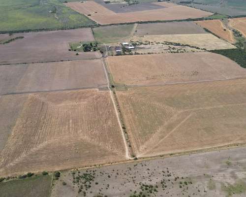 150 Hectáreas Agrícolas en Gualeguaychú.